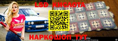 крисы Берёзовский